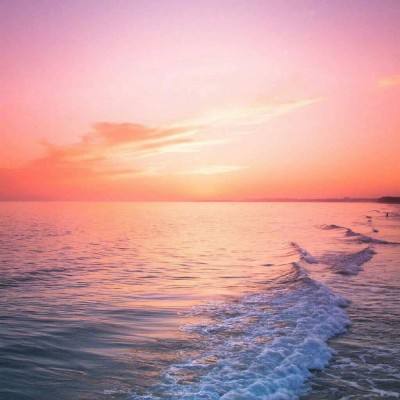 狗万官网下载手机版