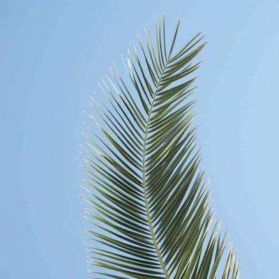 乐宝体育官网登录入口手机app下载