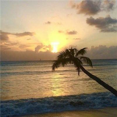 竞彩足球模拟投注下载