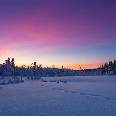 万博全站manbetx安装