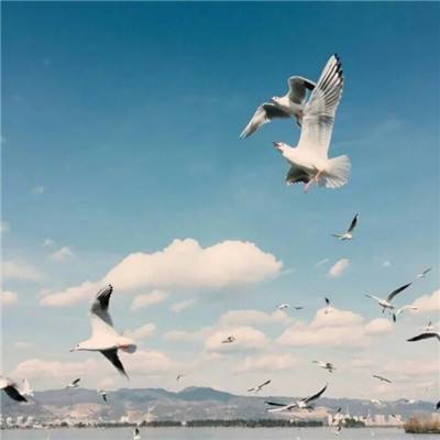 尊龙AG旗舰厅app下载