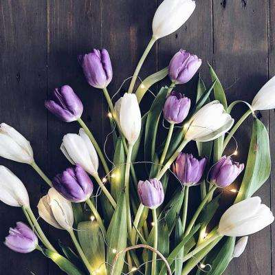 开元棋脾手机app下载