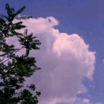 经典牛牛app下载